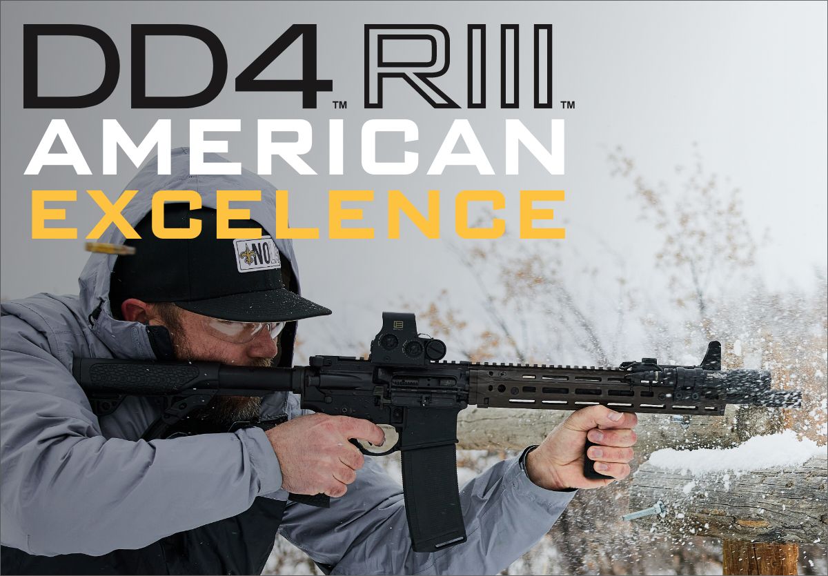 The RIII Rail System